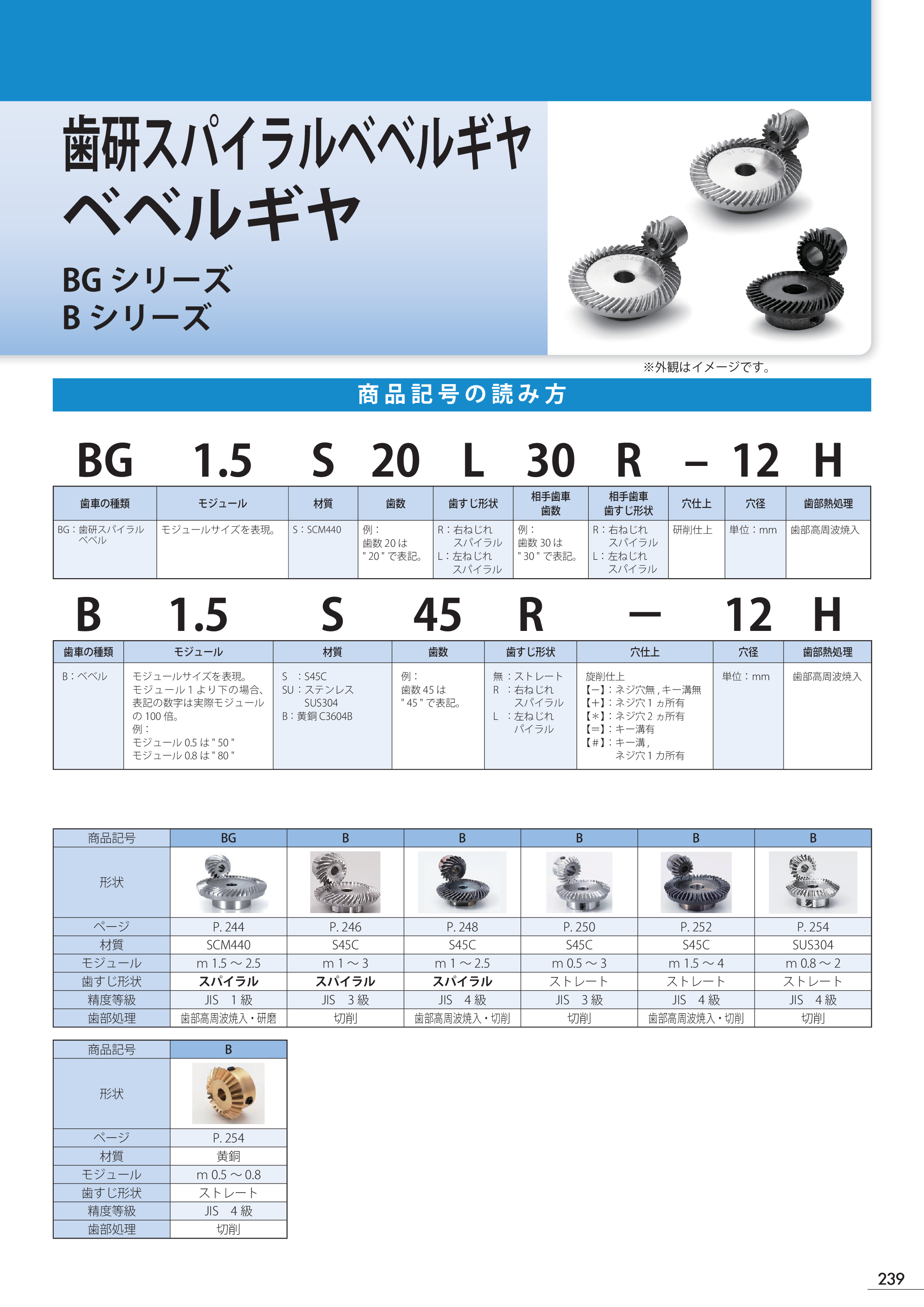 カタログ（1Page）